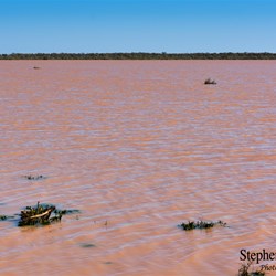An inland sea north of the highway as far as the eye can see