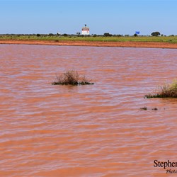 The floodwaters will now transform the Outback.