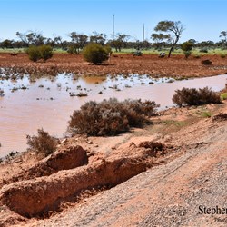 Floodwaters line the Stuart Highway at Glendambo.