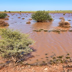 Its going to take a very long time for the water to dry up at Glendambo