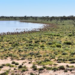 The area in now dotted with small inland lakes, east of Glendambo