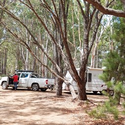 Bush camping setback from the lake