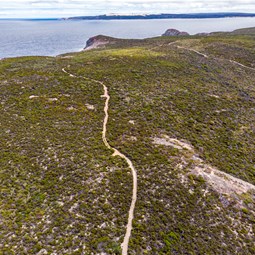 Tracks over Point Henry