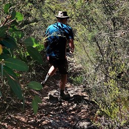 Scrambling track with spider webs