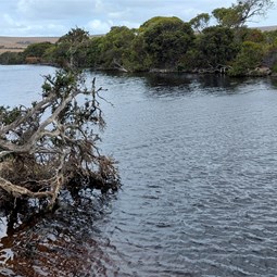 Along the Eyre River