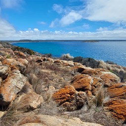 The terrain near the tip