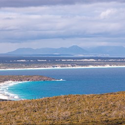As close as we got to Fitzgerald NP