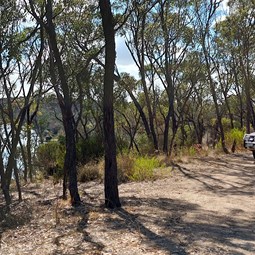 Hidden 4WD bush tracks lead to campsites Pallingup/Wellstead