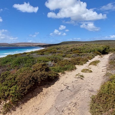 Looking back the way we've come (easy part)