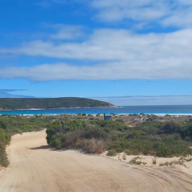 Dillon Bay Blossoms Beach access