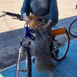 Welcome for Cyclists?