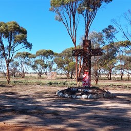 Steve's Art Shackleton