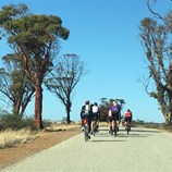 Support car driver's view