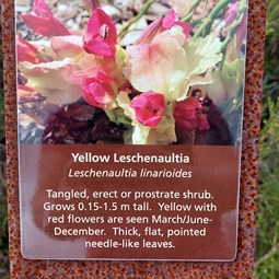 Amazing signage on loop walk