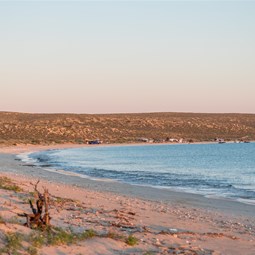 Afternoon light at Shelter Bay