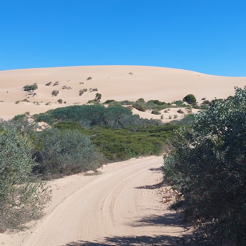 Track narrows and dunes appear