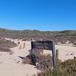 Typical track junction