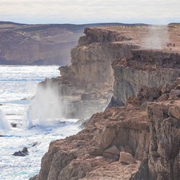 Impressive blowhole sprays