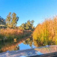 Driving through Kalgan Creek