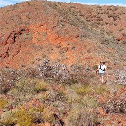 Michelle with the Mt Newman summit behind