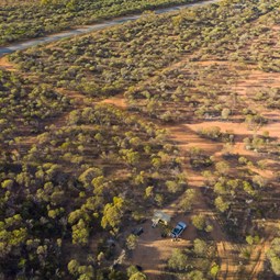 Paynes Find Bush Camp