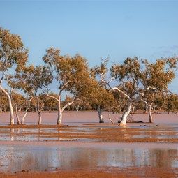 Peak Hill - Three Rivers Road