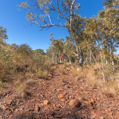 Entrance track to Honeymoon Pool