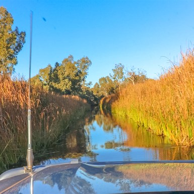 Driving through Kalgan Creek at golden hour