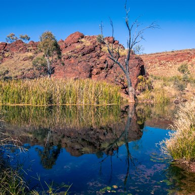 The 2nd rope swing camp on Kalgan Creek