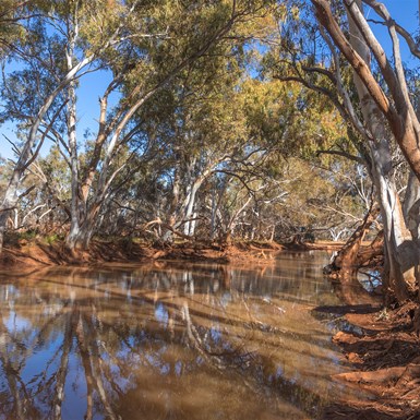 Gascoyne River on Three Rivers Rd