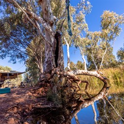 Our camp on Kalgan Creek