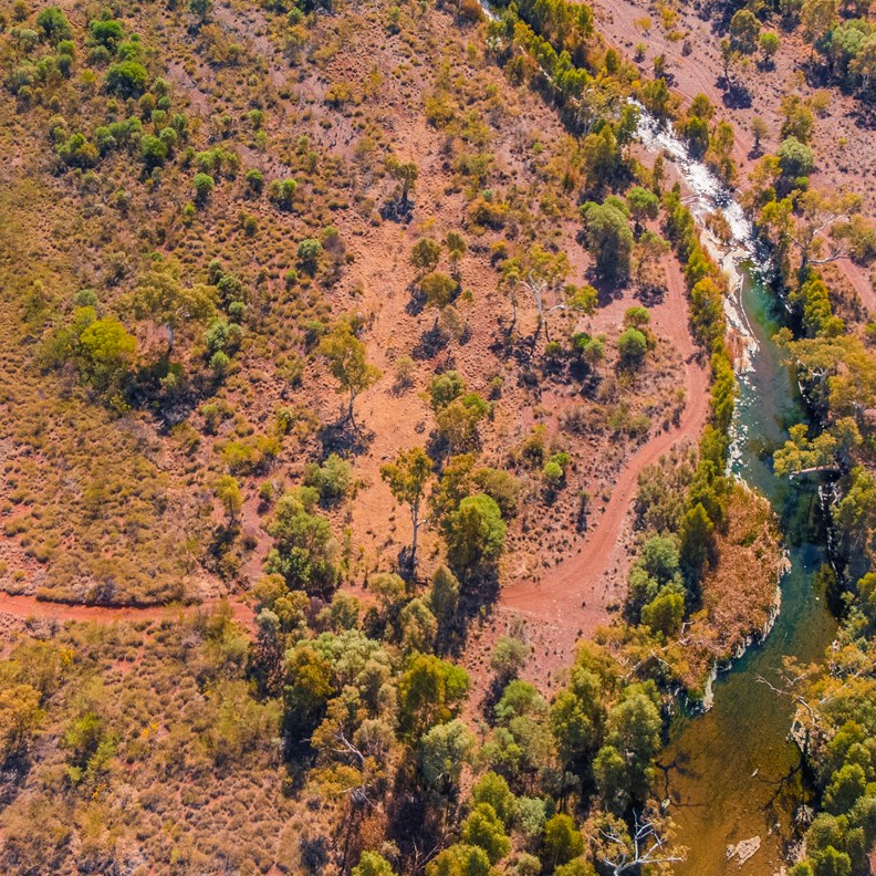 Rope Swing Camp at Kalgan Creek