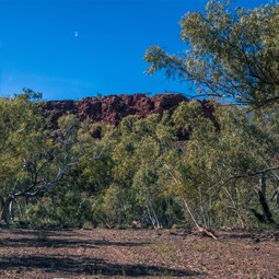 Punda Rockhole Drive