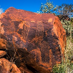 Punda Petroglyphs Rock Art