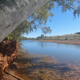 Nullagine River July 22