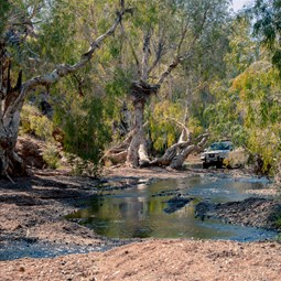 Track through creek to camps at Skull Springs