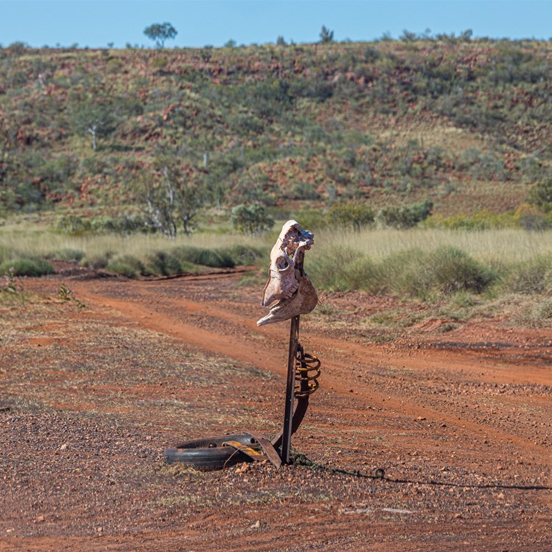 The "sign" for Skull Springs