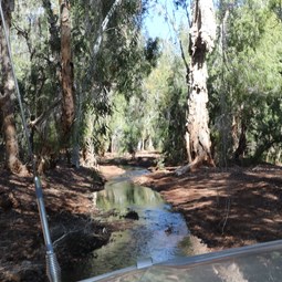 Driving through Skull Springs to the camps
