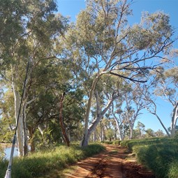 Day Use Area Nullagine River