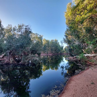 The larger waterhole opens up beyond the end of the tracks