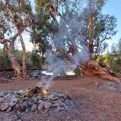 Campsite at Upper Carawine Pool River Crossing