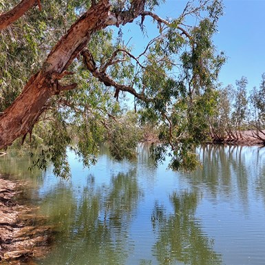 Further upstream (drive in on alt track)