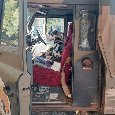 Cool truck - cool doggo