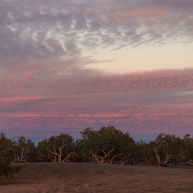 Sunrise colours to the west