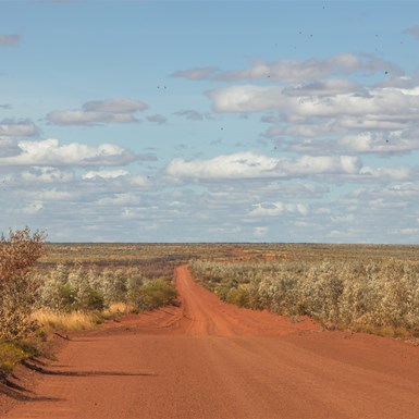 Track & Vegetation