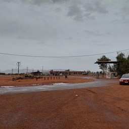 Papunya
