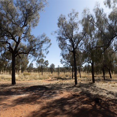 Jupiter Well Campsites