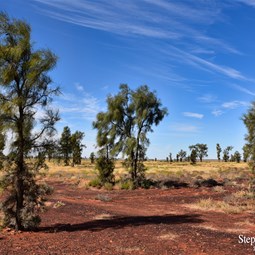 Mac Clark Reserve, a small detour off of the Binns Track