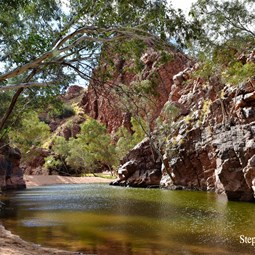 All the gorges around Alice Springs were full of water.