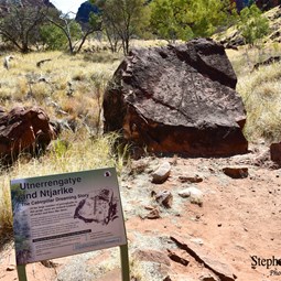 The track was mostly covered in high grass and snakes were a concern